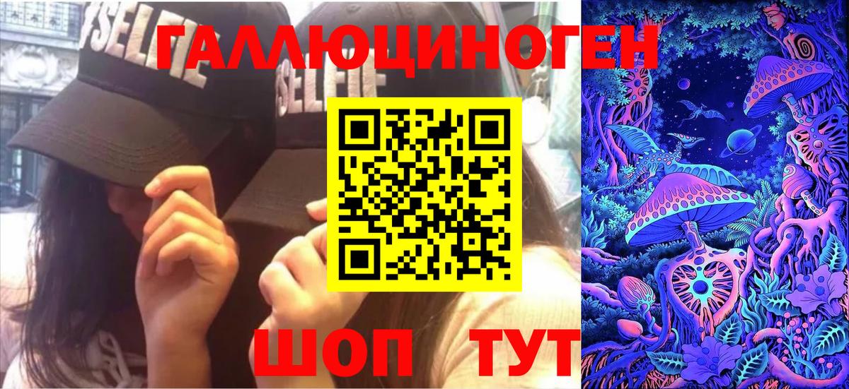 Галлюциногенные грибы Psilocybine cubensis Бийск