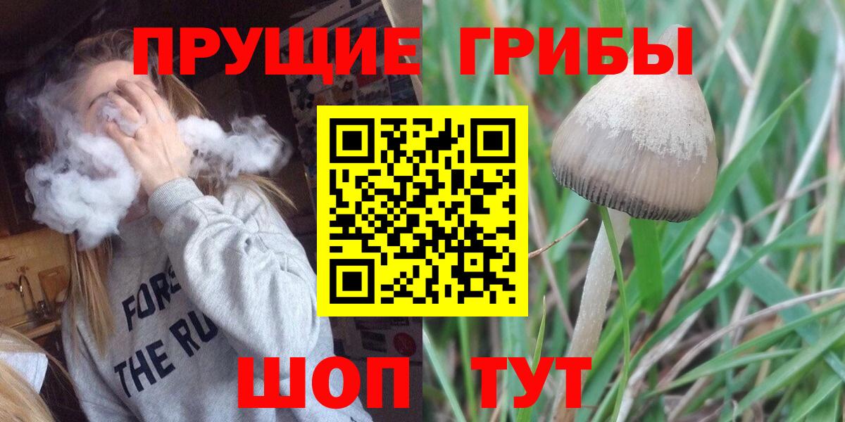 Бийск  Галлюциногенные грибы Psilocybine cubensis  Псилоцибиновые грибы Psilocybine cubensis  Вход с VPN 