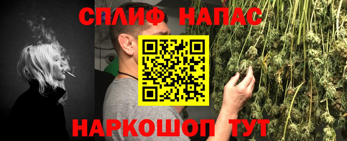 Канабис Amnesia Бийск